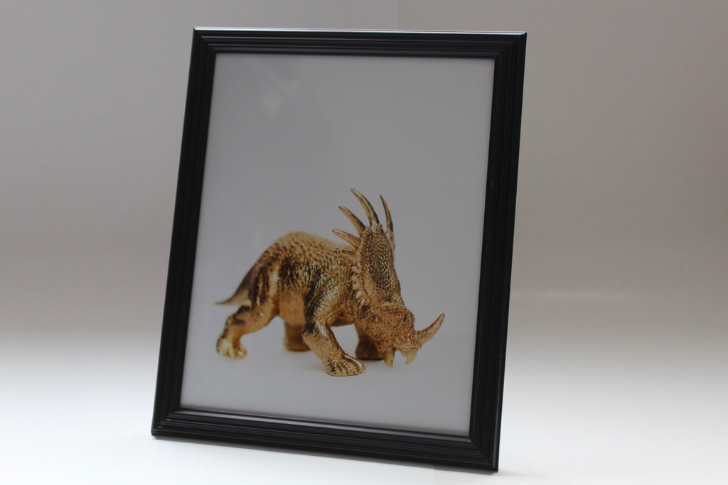 Triceratops print