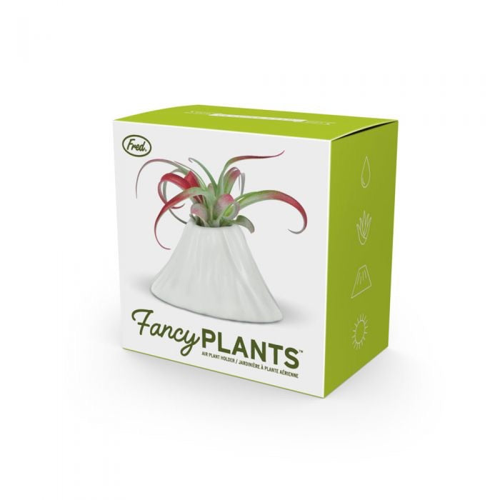 Fancy Plants Volcano Airplant Holder