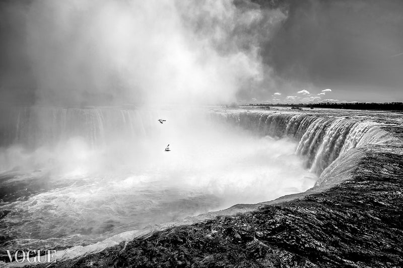 Seagulls Along Niagara Falls Print